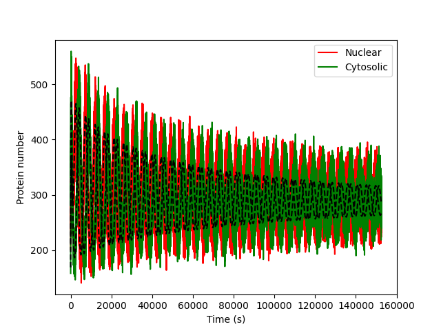 Nuclear/cytosolic protein traces, "data" and simulation