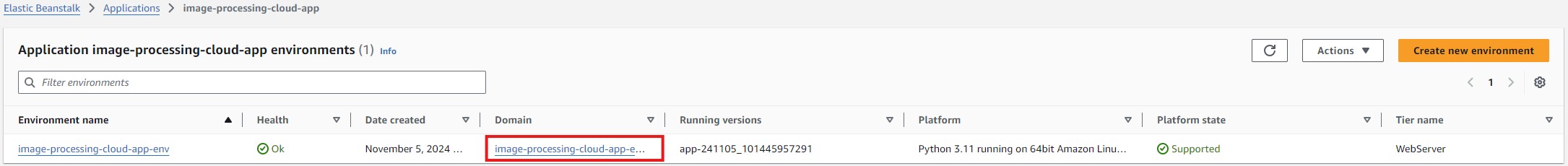 Elastic Beanstalk Domain Link