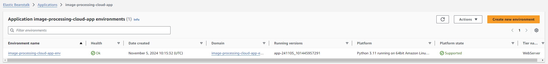 Elastic Beanstalk Environment Details