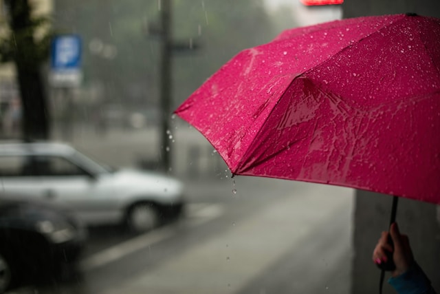 Person holding umbrella in the rain