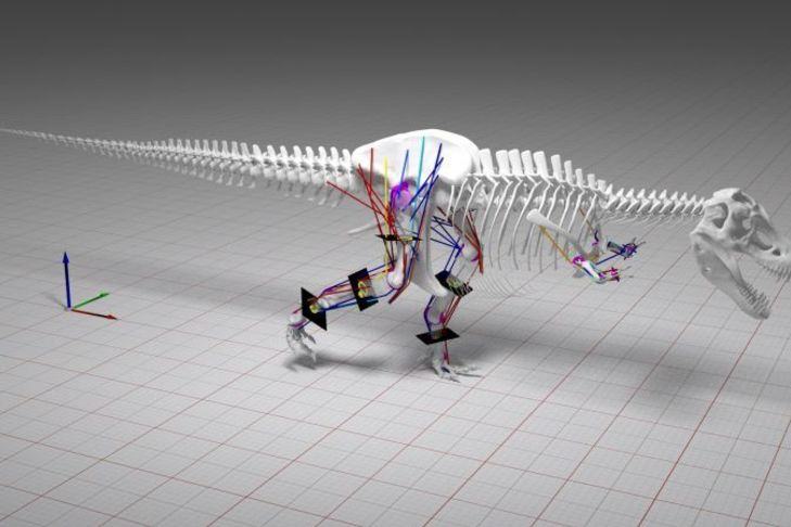 Computer simulation example image